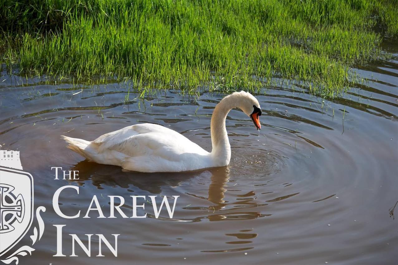 Carew Inn Exteriör bild